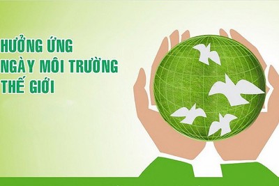 Một số nội dung cần triển khai Ngày Môi trường thế giới và Ngày Quốc tế đa dạng sinh học năm 2021