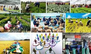 [Infographics] Kinh tế tập thể, hợp tác xã giai đoạn 2021-2025 