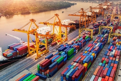 Phát huy những lợi thế từ EVFTA