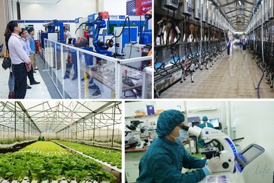 Quản lý, xử lý tài sản hình thành từ thực hiện các nhiệm vụ KH&CN sử dụng vốn nhà nước