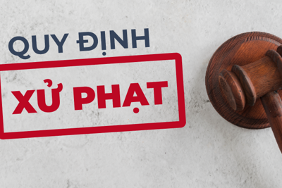 Hai nhà đầu tư ở Hà Nội đều bị phạt 60 triệu đồng do không công bố thông tin