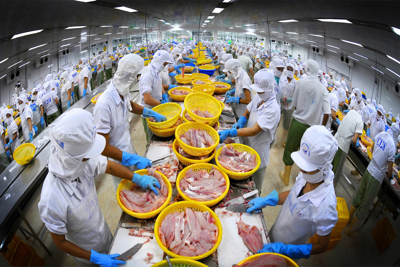 Kim ngạch xuất khẩu thủy sản giảm, lo khó đạt mục tiêu 10 tỷ USD cả năm