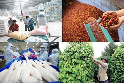 Tiếp tục kết nối tiêu thụ tốt nông sản, thủy sản