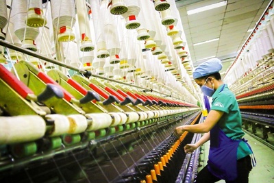 Hỗ trợ doanh nghiệp áp dụng tiêu chuẩn, quy chuẩn kỹ thuật, hệ thống quản lý, công cụ cải tiến năng suất chất lượng