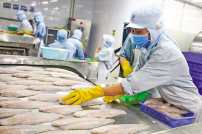 Đẩy mạnh xúc tiến xuất khẩu nông, lâm, thủy sản sau COVID-19