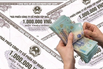 Rõ trách nhiệm của tổ chức đấu thầu, bảo lãnh và đại lý phát hành trái phiếu doanh nghiệp
