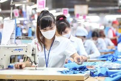 Hỗ trợ người lao động và người sử dụng lao động từ Quỹ bảo hiểm thất nghiệp