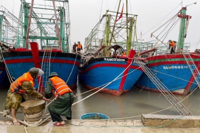 Thủ tướng Chính phủ yêu cầu tập trung ứng phó khẩn cấp với bão số 4 năm 2022