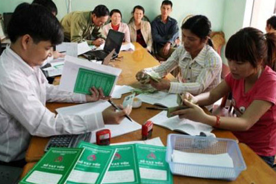 Tạo sự thông thoáng trong hỗ trợ giá và vay vốn cho nông dân