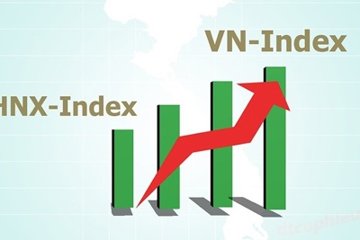 Kết quả giao dịch của các thị trường trên HNX phiên cuối tuần 16/10