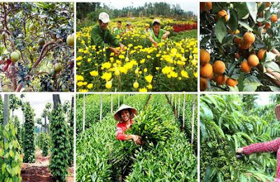 Ưu tiên bố trí nguồn lực từ ngân sách nhà nước cho công tác xoá đói, giảm nghèo