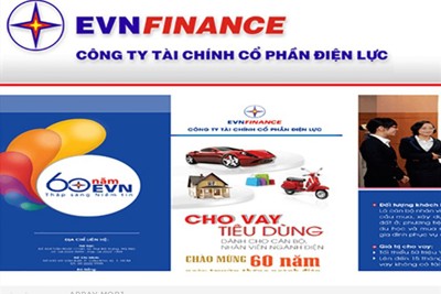 EVN bán hết 100% cổ phần chào bán tại Công ty Tài chính Cổ phần Điện lực
