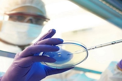 Cẩn trọng với biến thể mới B.1.X của virus SARS-CoV-2 