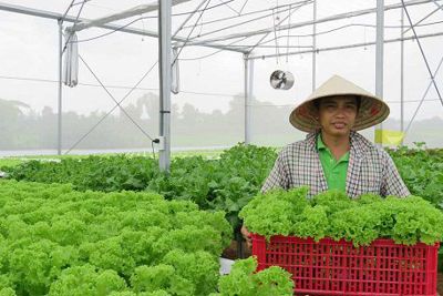 Kết nối tiêu thụ, cung cấp nông sản sạch cho thị trường Thủ đô