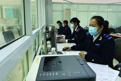 Triển khai phần mềm khai hải quan miễn phí cho doanh nghiệp
