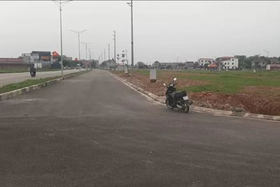 Ngăn chặn và xử lý nghiêm hành vi lợi dụng đấu giá đất gây nhiễu loạn thị trường, trục lợi