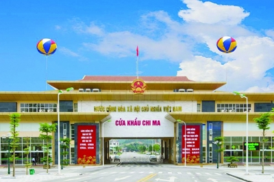 Sẵn sàng thực hiện thí điểm nhập khẩu dược liệu qua cửa khẩu Chi Ma