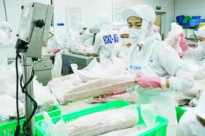 Cơ hội thúc đẩy xuất khẩu song phương
