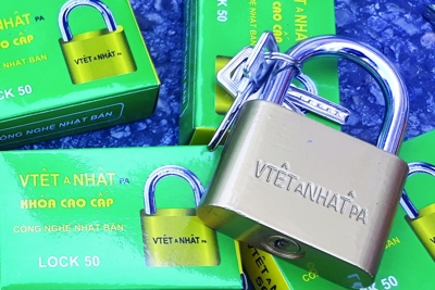 Nhiều mặt hàng nhập khẩu từ Trung Quốc có vi phạm