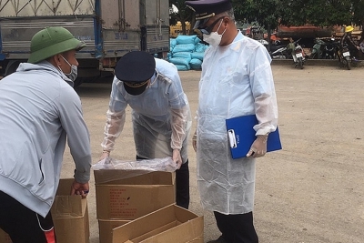 Kim ngạch xuất nhập khẩu qua Hải quan Quảng Ninh tăng 31%