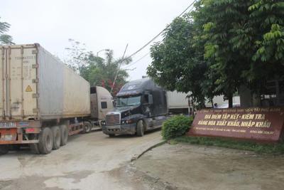 276 doanh nghiệp kết nối với Hệ thống quản lý hải quan tự động