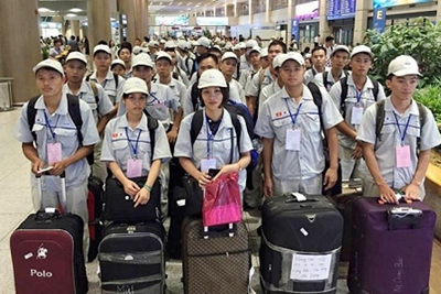 Hai doanh nghiệp vi phạm khi đưa người đi làm việc ở nước ngoài bị phạt 75 triệu đồng 