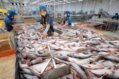 Gỡ "thẻ vàng" thủy sản Việt Nam: Câu trả lời còn bỏ ngỏ 