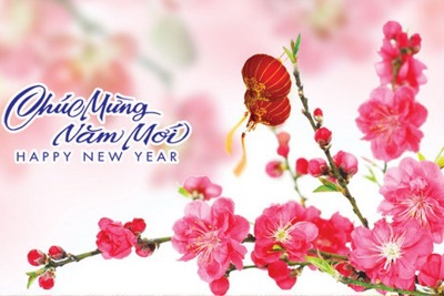 Bộ trưởng Đinh Tiến Dũng gửi Thư Chúc mừng năm mới 2021