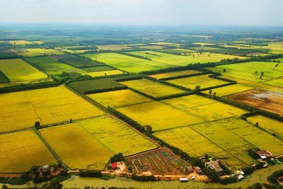 Thúc đẩy chuyển dịch đất nông nghiệp, đáp ứng yêu cầu phát triển bền vững