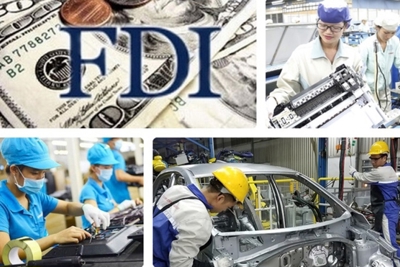 Hoàn thiện thể chế, chính sách đối với doanh nghiệp FDI tại Việt Nam