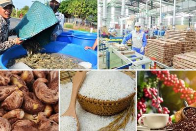 Tăng trưởng khu vực nông, lâm nghiệp và thủy sản là bệ đỡ cho nền kinh tế