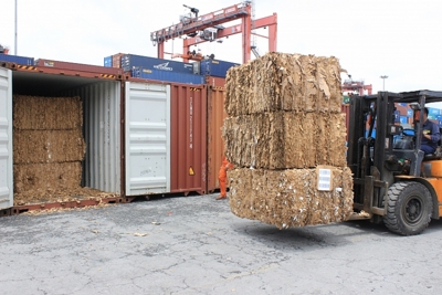 Sẽ có Quyết định của Thủ tướng về quy chế phối hợp kiểm soát phế liệu nhập khẩu