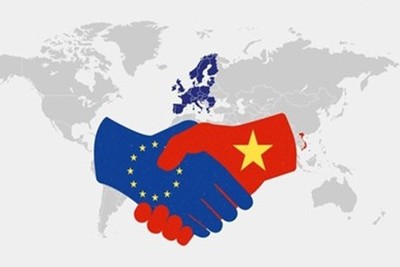  Đầu tư của EU vào Việt Nam như thế nào? 