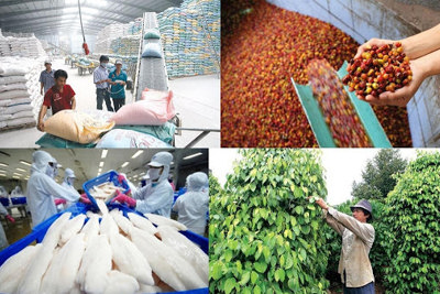 Năm 2025, mục tiêu xuất khẩu nông lâm thủy sản đạt 50-51 tỷ USD