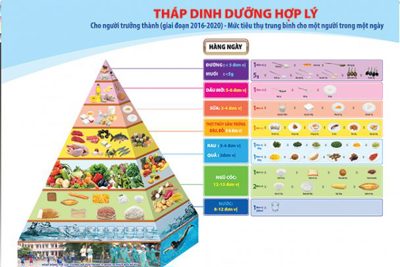 Thực đơn dinh dưỡng cho một ngày lành mạnh
