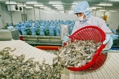  Cơ hội nào cho xuất nhập khẩu Việt Nam nhìn từ xung đột Nga - Ukraine? 
