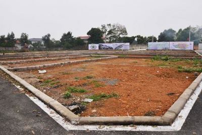  Đất nền giữ vững vương miện kênh đầu tư “vua” 