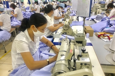 Hoạt động kinh tế trong nước tiếp tục phục hồi