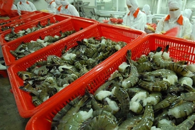 Xuất khẩu tôm: Ngoài Mỹ, Nhật và EU, còn những thị trường tiềm năng nào khác cho 2022?