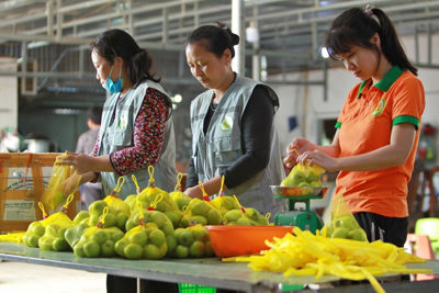 Giải pháp căn cơ để không còn “giải cứu”?