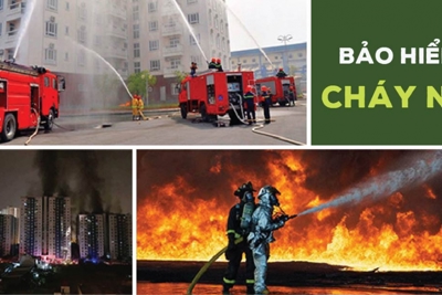 Đề xuất sửa đổi, bổ sung quy định về bảo hiểm cháy, nổ bắt buộc