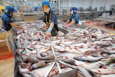 Bất chấp dịch bệnh, nhiều doanh nghiệp vẫn dự kiến lãi lớn trong năm 2020