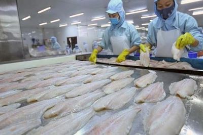  Doanh nghiệp thủy sản mất 50% đơn hàng 