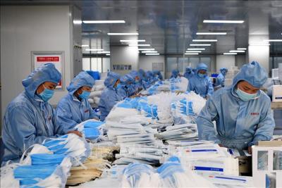 Những lưu ý xuất khẩu đồ bảo hộ, khẩu trang vào thị trường EU