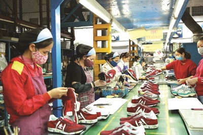Để doanh nghiệp thêm vững vàng vượt khó