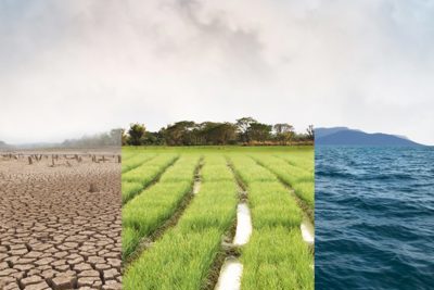 Từ ngày 26/5/2020, giảm 30% phí khai thác, sử dụng dữ liệu về môi trường