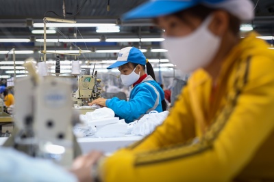 Thị trường nội địa - Điểm tựa giúp doanh nghiệp vượt khó Covid