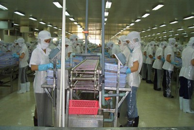 Xuất khẩu thủy sản quý II ước tăng 10%, đạt trên 2,1 tỷ USD