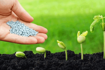 Thống nhất thuế xuất khẩu 5% góp phần ổn định nguồn cung mặt hàng phân bón