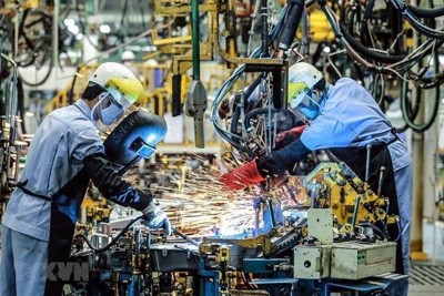  Fed tăng lãi suất và 5 tác động lớn tới kinh tế Việt Nam 